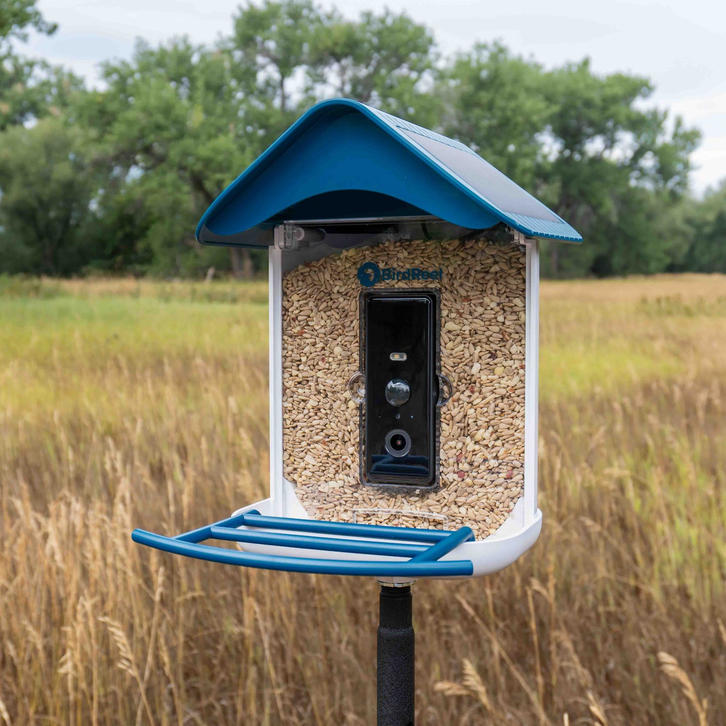 Bird feeder with blue roof and beige seed filling in a field