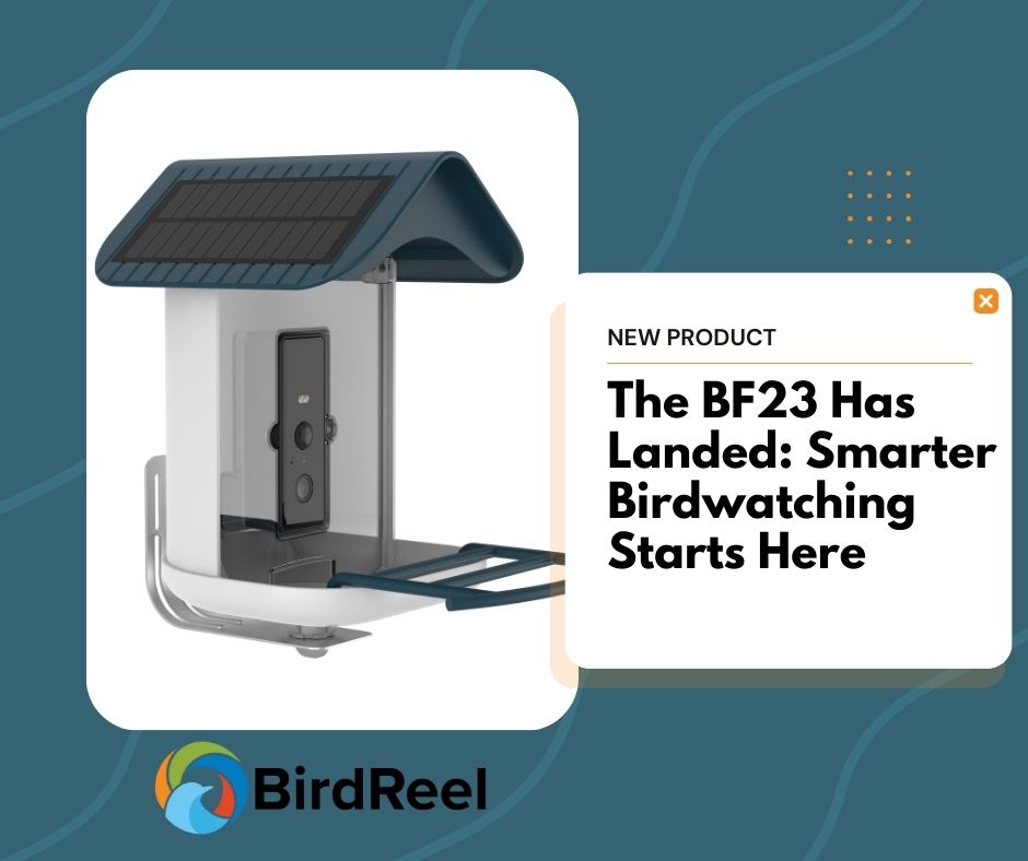 The "Green Tech" Trend: Selling Solar-Powered Reliability in 2026