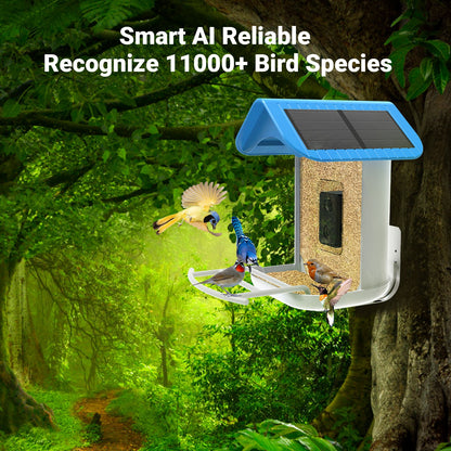 smart bird feeder camera hummingbird finches purple baby squirrel proof bird baths love bird eating bird food identifier bird app crows cardinal titmouse robin birdbuddy birdfy flicker cold bird snow eating starling squirrel stellars jay grossbeak goldfinch