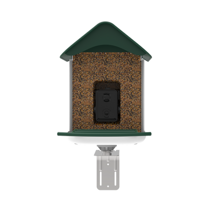 smart bird feeder camera hummingbird finches purple baby squirrel proof bird baths love bird eating bird food identifier bird app crows cardinal titmouse robin birdbuddy birdfy flicker cold bird snow eating starling squirrel stellars jay grossbeak goldfinch