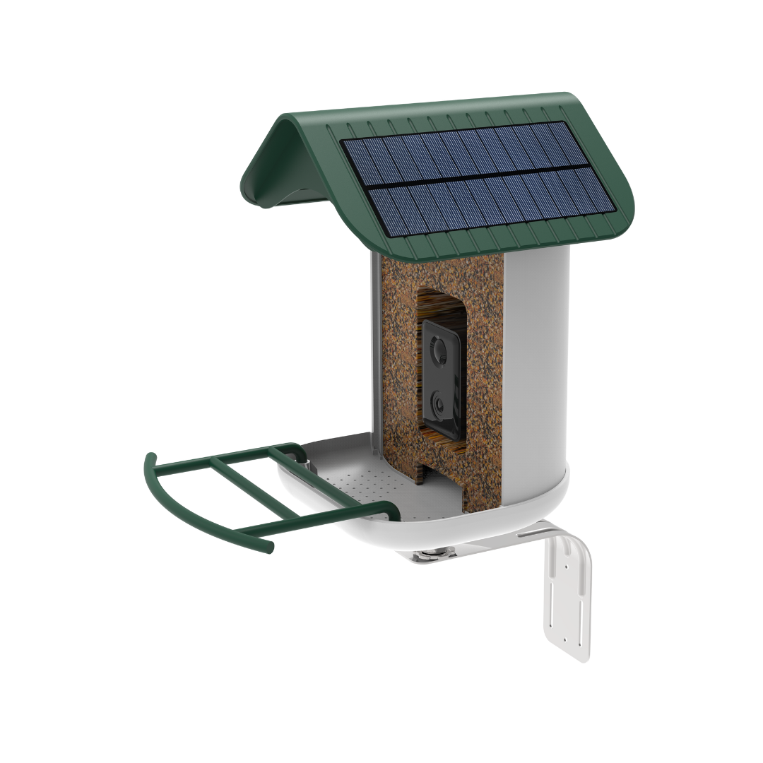 smart bird feeder camera hummingbird finches purple baby squirrel proof bird baths love bird eating bird food identifier bird app crows cardinal titmouse robin birdbuddy birdfy flicker cold bird snow eating starling squirrel stellars jay grossbeak goldfinch