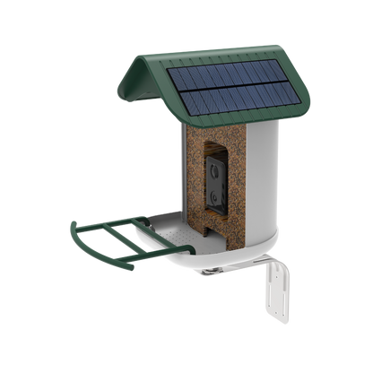 smart bird feeder camera hummingbird finches purple baby squirrel proof bird baths love bird eating bird food identifier bird app crows cardinal titmouse robin birdbuddy birdfy flicker cold bird snow eating starling squirrel stellars jay grossbeak goldfinch