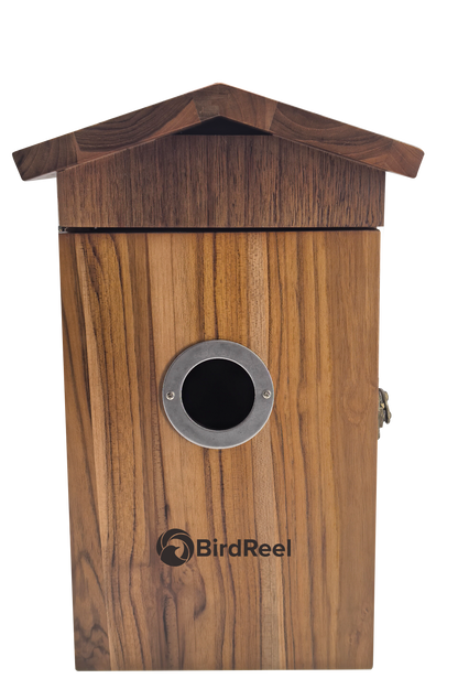 Wooden birdhouse with a circular entrance on a white background, featuring the BirdReel brand logo