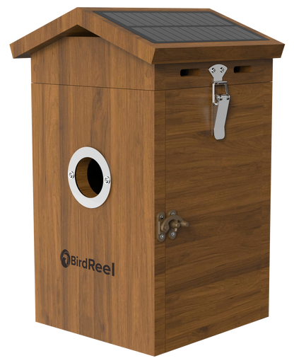 Wooden birdhouse with solar panel on top, featuring the BirdReel brand.