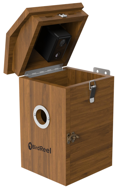 Wooden bird feeder with a black camera inside, branded 'BirdReel', on a white background.