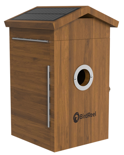 Wooden birdhouse with a solar panel on top, featuring the BirdReel logo.