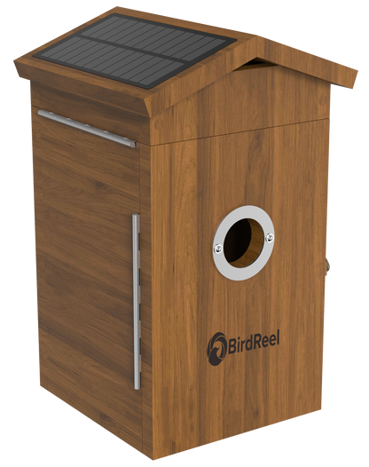 Wooden birdhouse with solar panel on top, featuring the BirdReel logo.