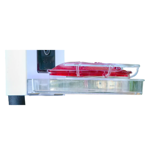 Bird Reel Hummingbird Feeder Nectar Tray