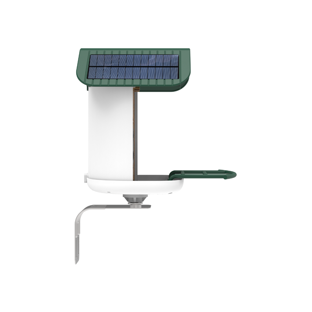 smart bird feeder camera hummingbird finches purple baby squirrel proof bird baths love bird eating bird food identifier bird app crows cardinal titmouse robin birdbuddy birdfy flicker cold bird snow eating starling squirrel stellars jay grossbeak goldfinch