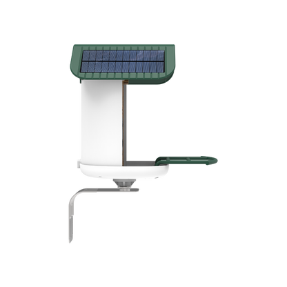 smart bird feeder camera hummingbird finches purple baby squirrel proof bird baths love bird eating bird food identifier bird app crows cardinal titmouse robin birdbuddy birdfy flicker cold bird snow eating starling squirrel stellars jay grossbeak goldfinch