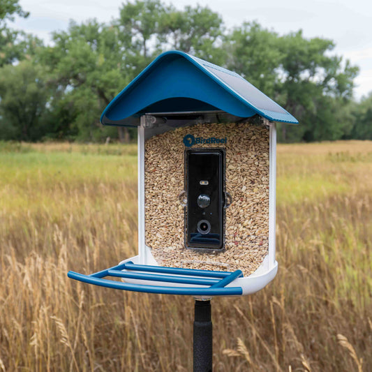Bird feeder with blue roof and beige seed filling in a field