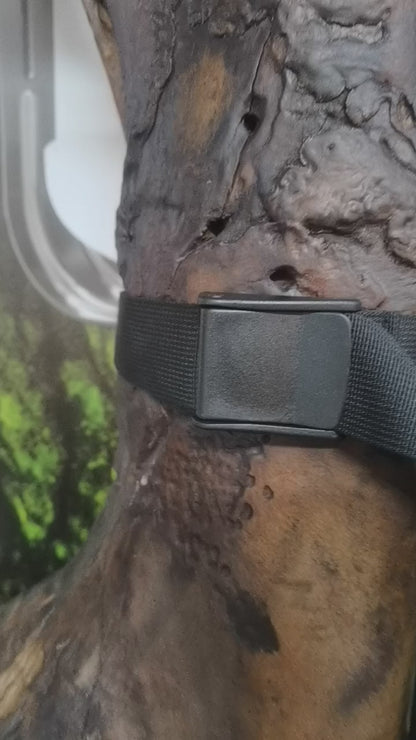 BirdReel Mounting Strap