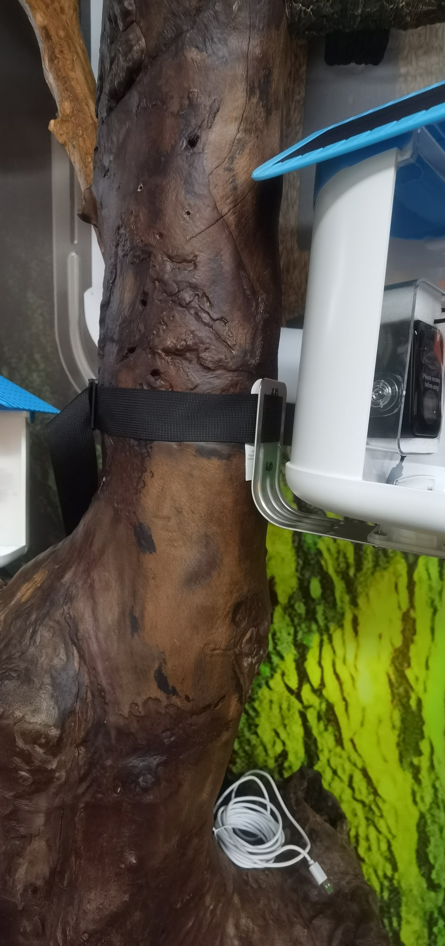 BirdReel Mounting Strap